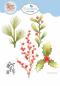 Preview: Elisabeth Craft Designs, Joyous Christmas Dies Holly Greenery