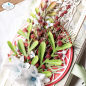 Preview: Elisabeth Craft Designs, Joyous Christmas Dies Holly Greenery