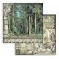 Preview: Stamperia, Magic Forest 12x12 Inch Paper Pack