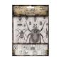 Preview: Idea-ology, Tim Holtz Halloween Collage Paper