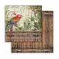 Preview: Stamperia Amazonia Inch Paper Pack