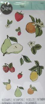 Sizzix, Clear Stamps by Lisa Jones Botanical Fruit