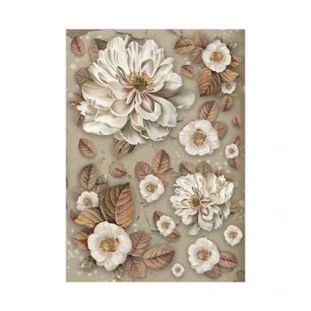 Stamperia, Vintage Library A6 Rice Paper Backgrounds, 8 teilig