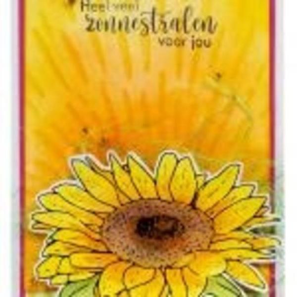 Marianne Design, Clear Stamp & Die Tiny's Flowers Sunflower